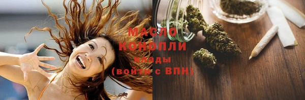 дживик Богородск