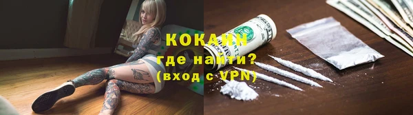 дживик Богородск