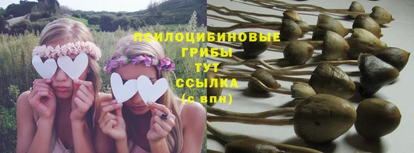 дживик Богородск