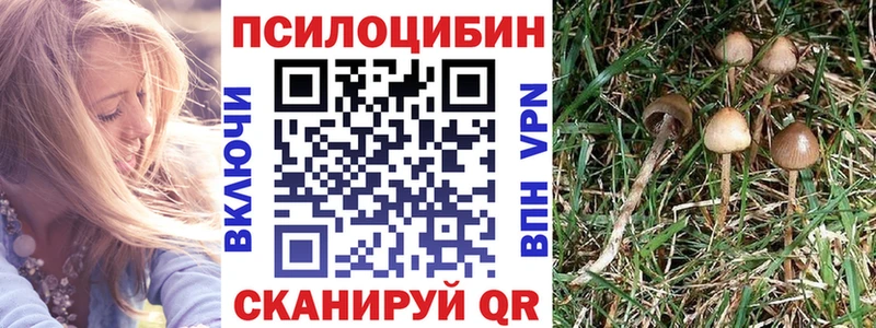 Галлюциногенные грибы мухоморы  Верхняя Тура 